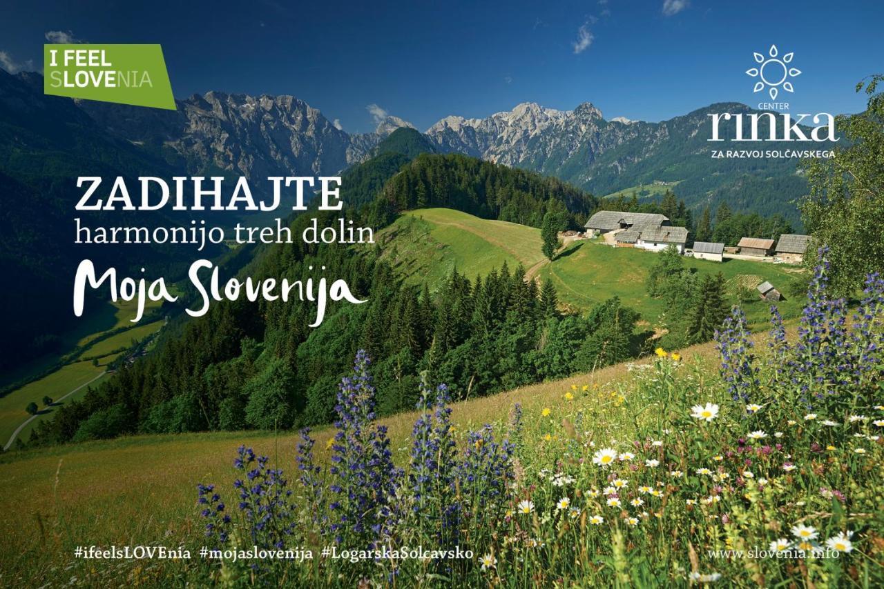 Boutique Rooms Pri Rogovilcu Solčava Exteriör bild
