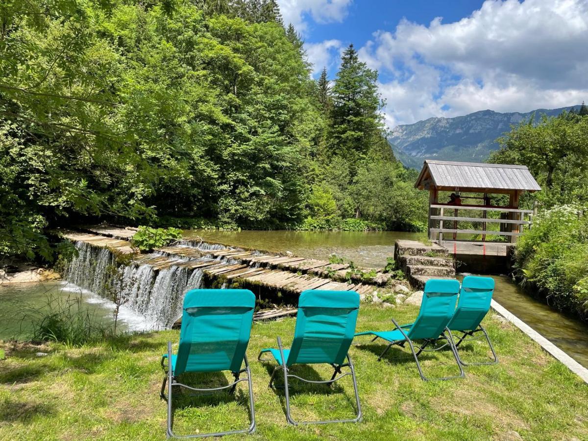 Boutique Rooms Pri Rogovilcu Solčava Exteriör bild