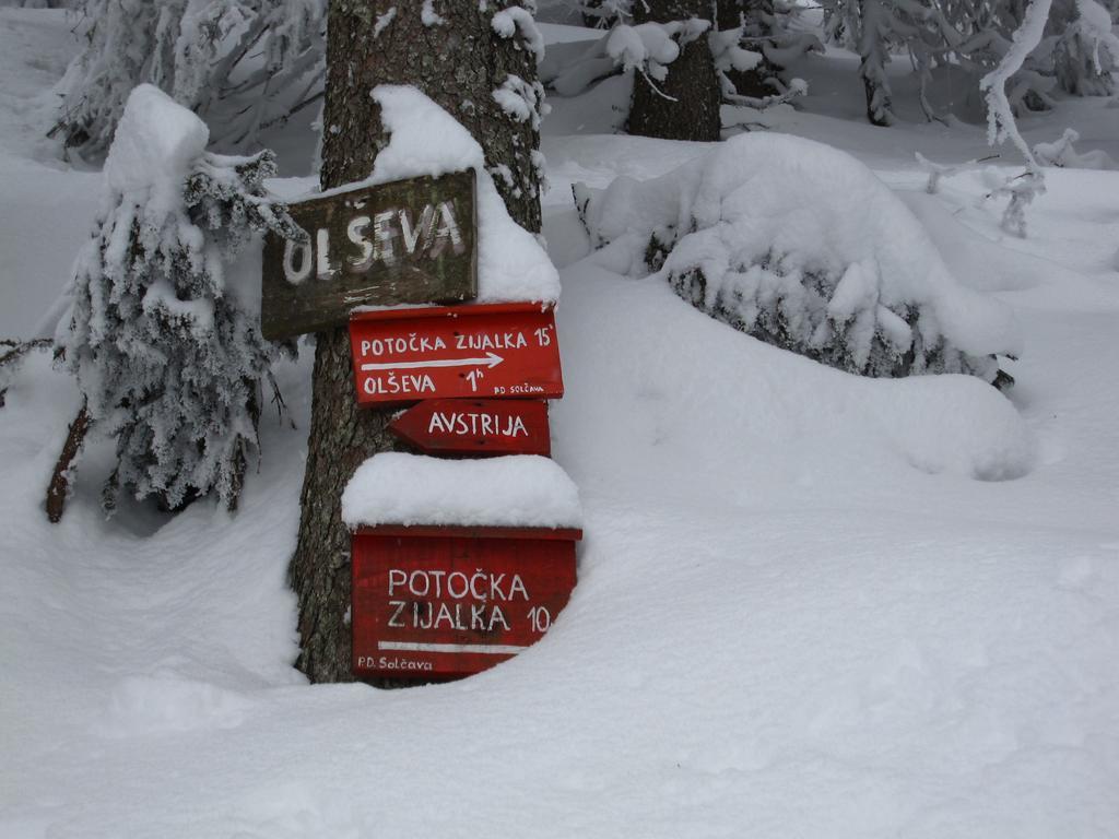 Boutique Rooms Pri Rogovilcu Solčava Exteriör bild