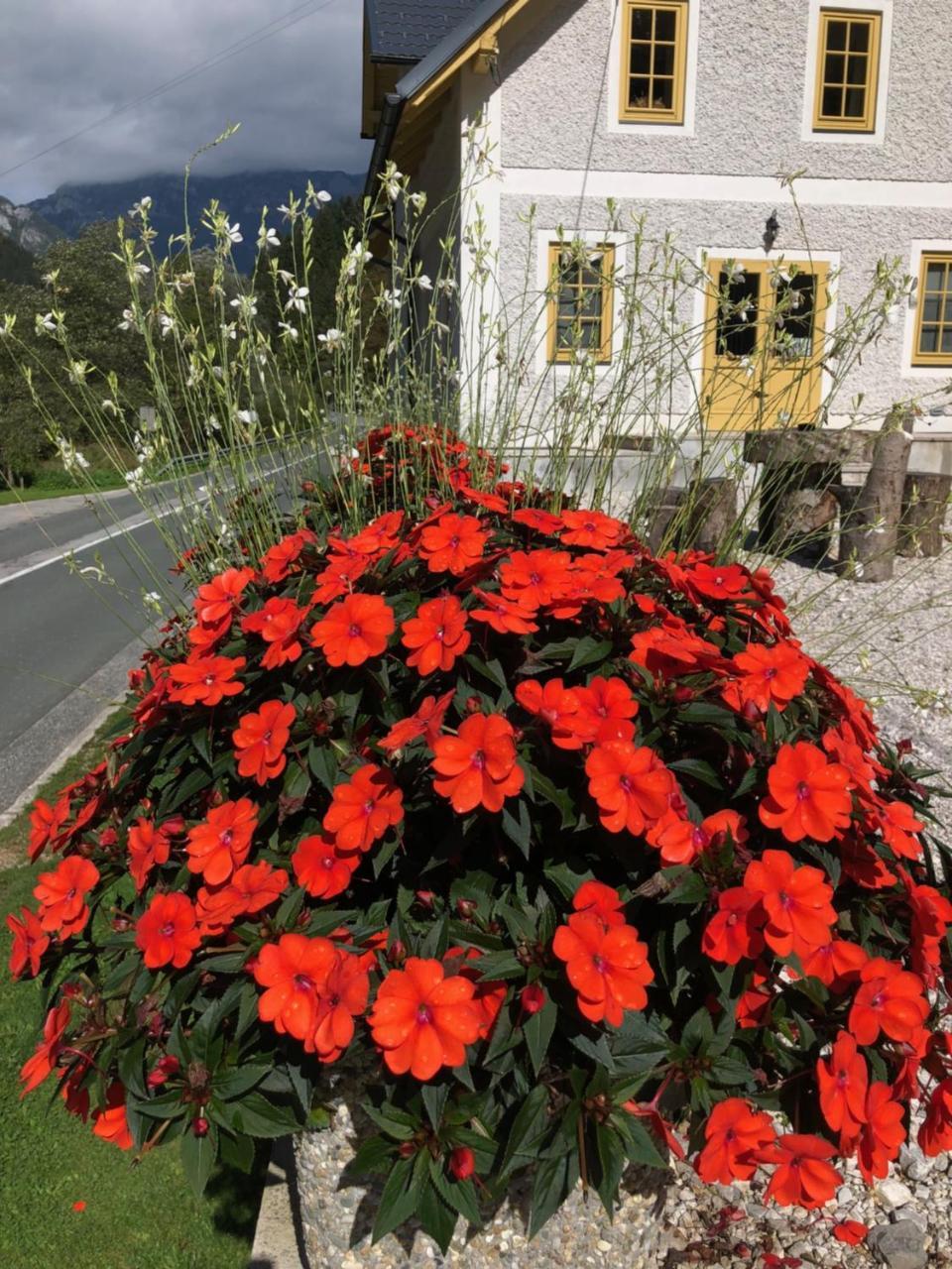 Boutique Rooms Pri Rogovilcu Solčava Exteriör bild